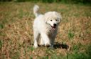 DSC_0124~2.JPG