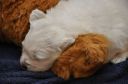 DSC_0192.JPG
